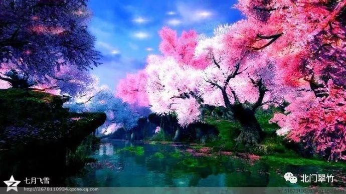2024重庆中央公园City Walk·城市定向赛开启新年第一跑