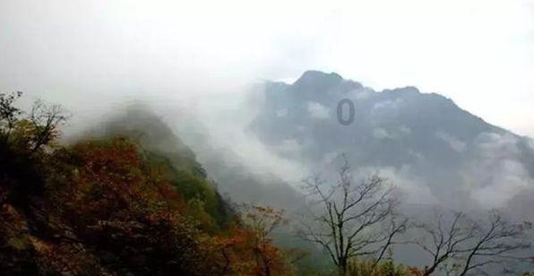 拯救胖男孩