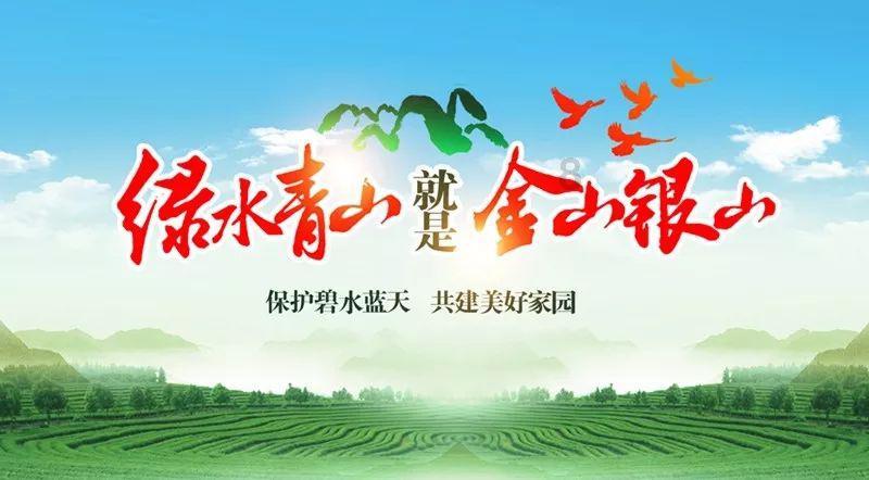 驼奶粉哪儿的最好最正宗，追溯产地与品质，寻找最纯正的驼奶粉